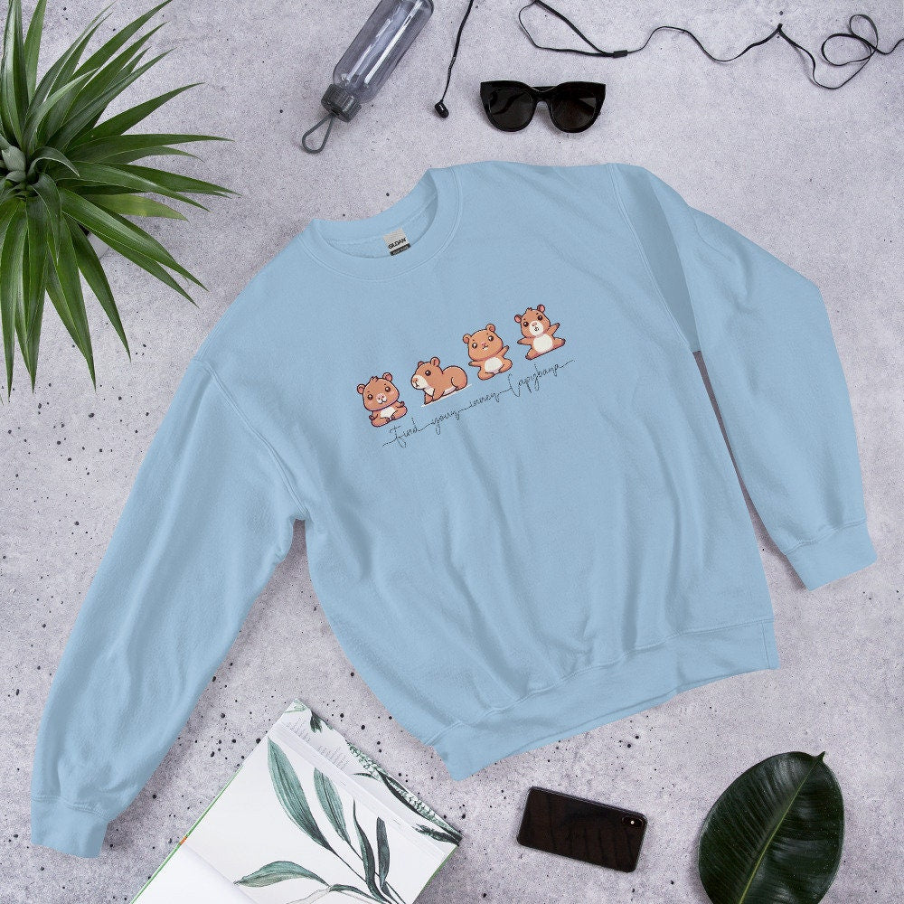 Capybara Sweatshirt, Yoga Shirt, Inner Capybara Shirt, Soft Casual Sweatshirt, Unique Gift for Her, Mom, Friend