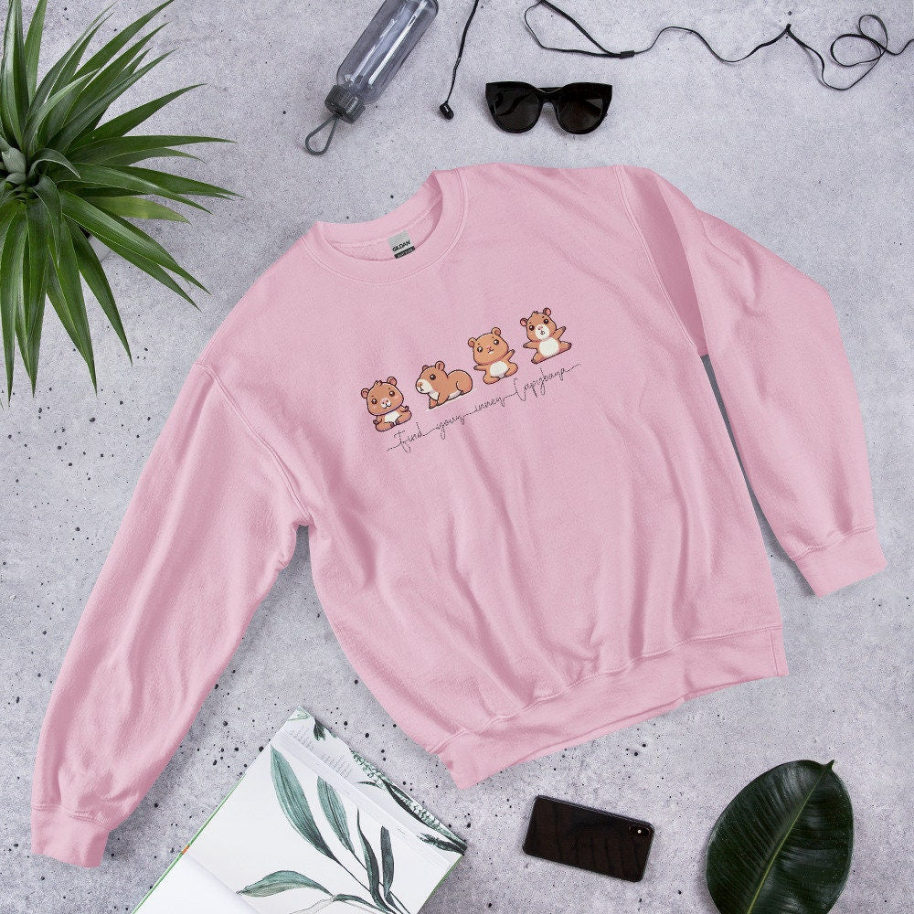 Capybara Sweatshirt, Yoga Shirt, Inner Capybara Shirt, Soft Casual Sweatshirt, Unique Gift for Her, Mom, Friend