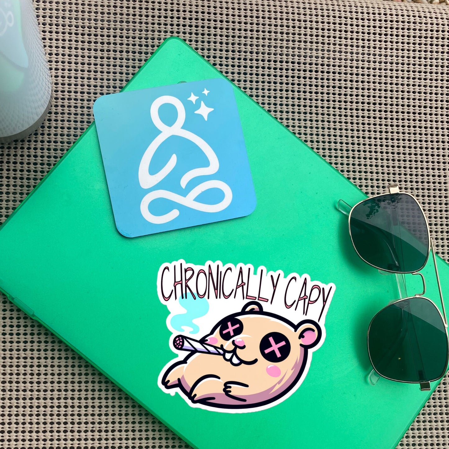 Weirdcore Pastel Goth Grunge Cute Capybara Vinyl Sticker, Weird Stuff Funny Strange Oddcore Waterproof Sticker