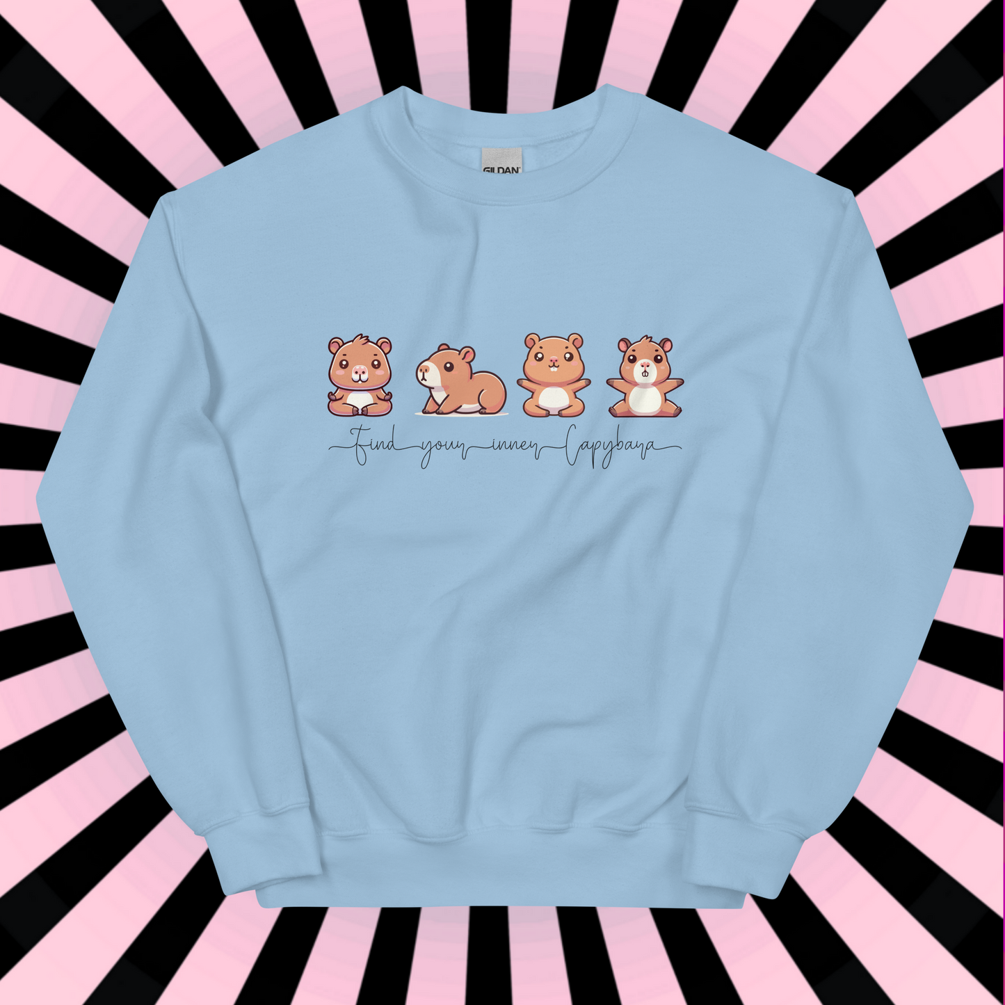 Capybara Sweatshirt, Yoga Shirt, Inner Capybara Shirt, Soft Casual Sweatshirt, Unique Gift for Her, Mom, Friend