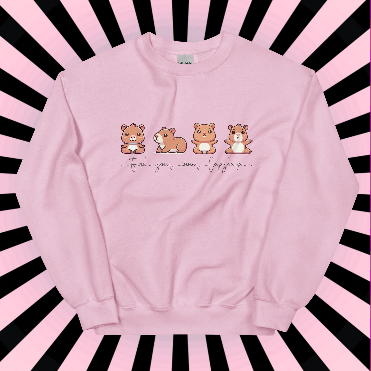 Capybara Sweatshirt, Yoga Shirt, Inner Capybara Shirt, Soft Casual Sweatshirt, Unique Gift for Her, Mom, Friend