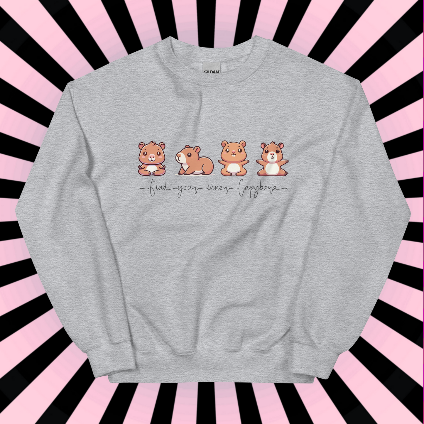 Capybara Sweatshirt, Yoga Shirt, Inner Capybara Shirt, Soft Casual Sweatshirt, Unique Gift for Her, Mom, Friend