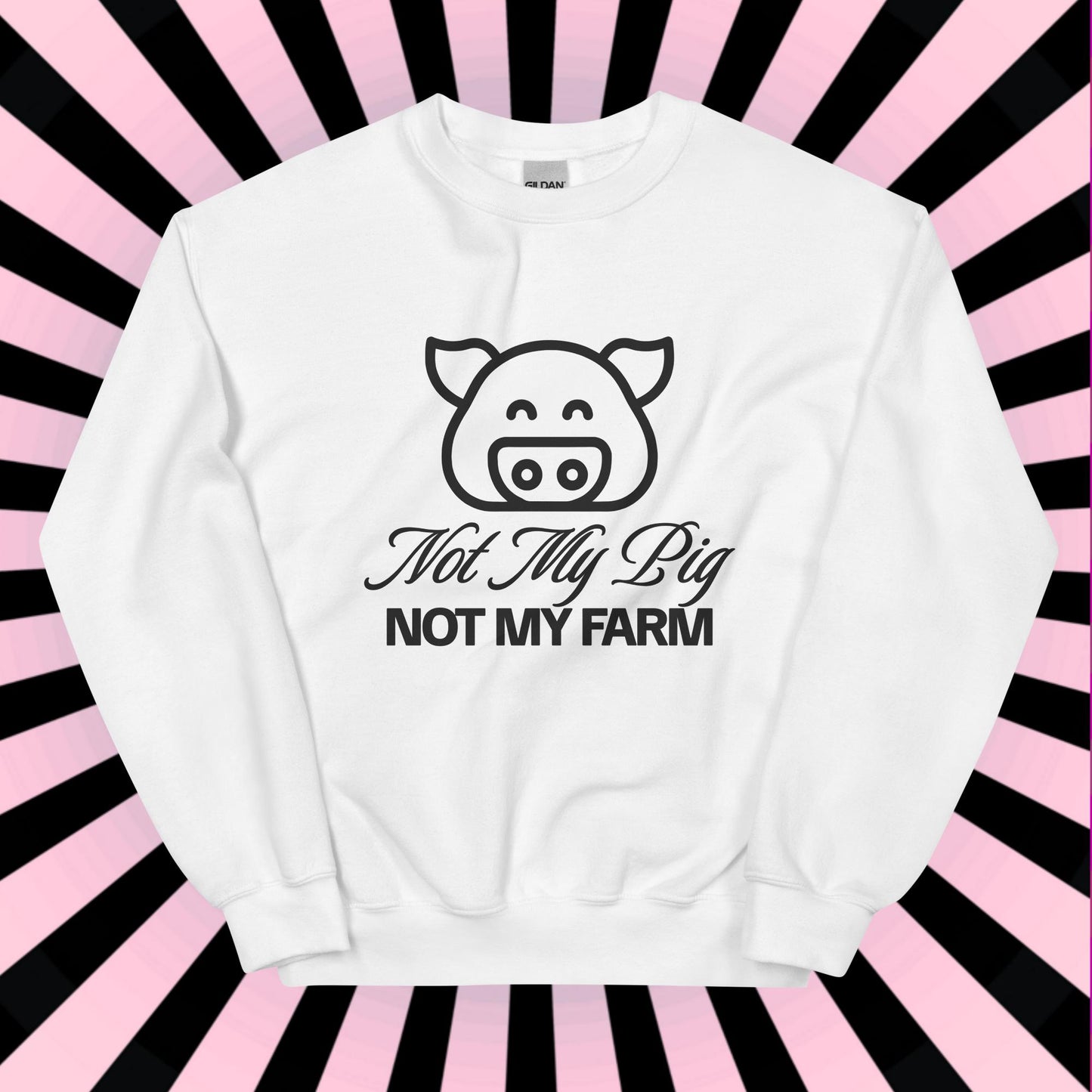 FUNNY SWEATSHIRT Not My Pig, Not My Farm Graphic Cozy Fun Mind Your Business Shirt