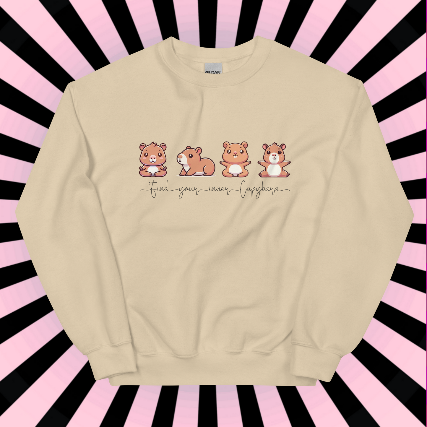 Capybara Sweatshirt, Yoga Shirt, Inner Capybara Shirt, Soft Casual Sweatshirt, Unique Gift for Her, Mom, Friend